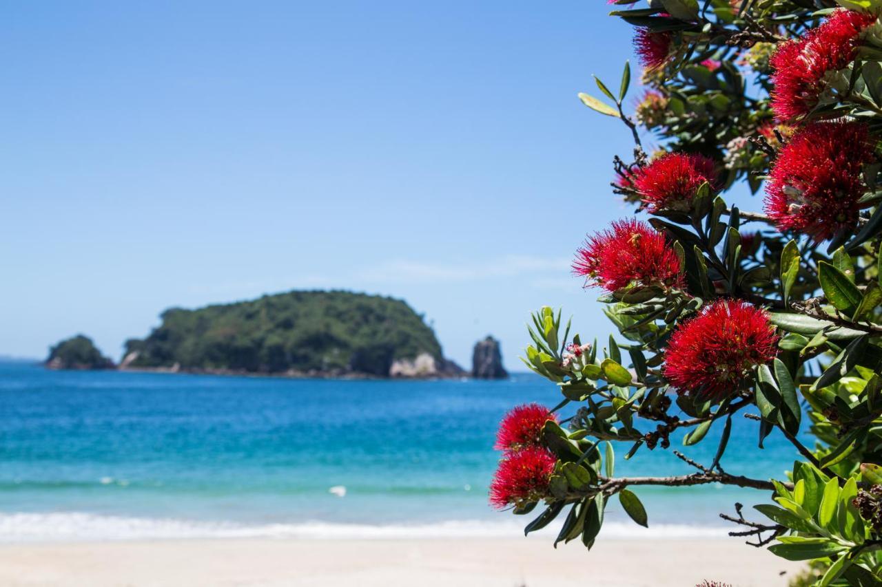 Hahei Beach Resort 外观 照片